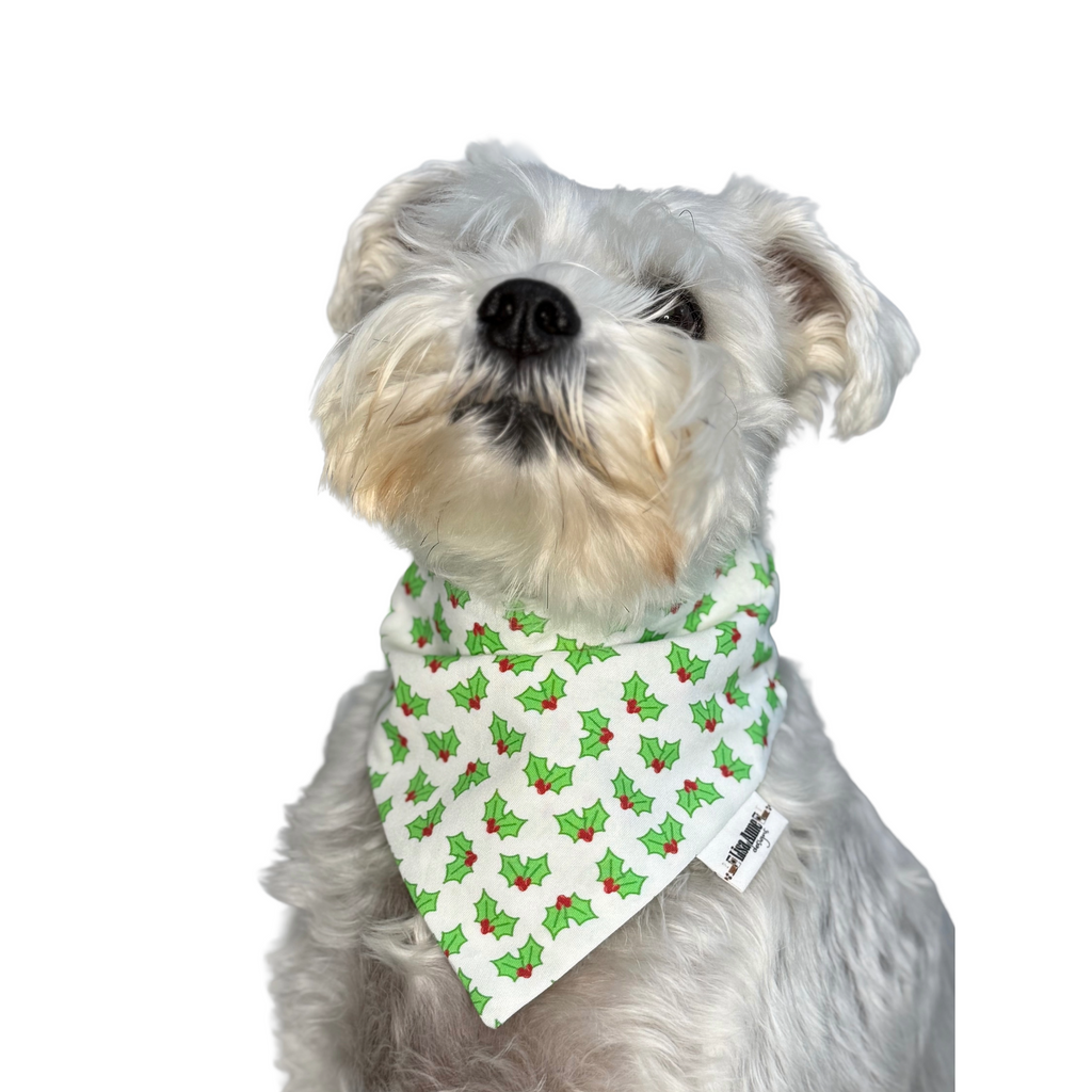 HOLLY BERRIES LIMITED EDITION — Scrunchie Style Slip-On  Pet Bandana