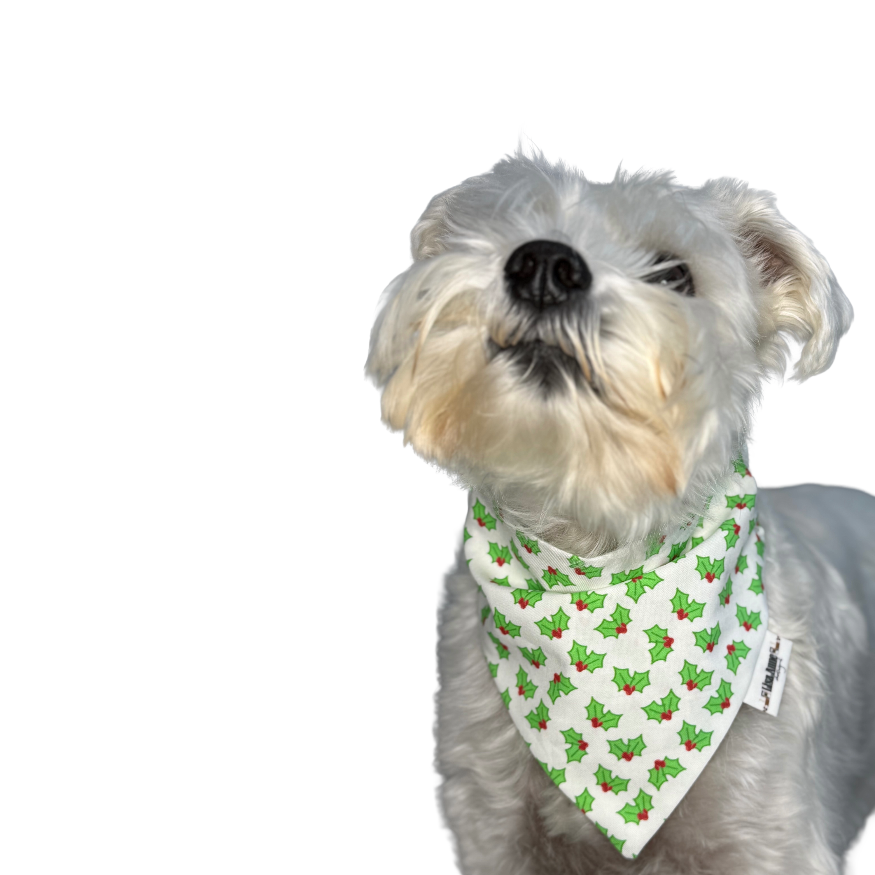 HOLLY BERRIES LIMITED EDITION — Scrunchie Style Slip-On  Pet Bandana