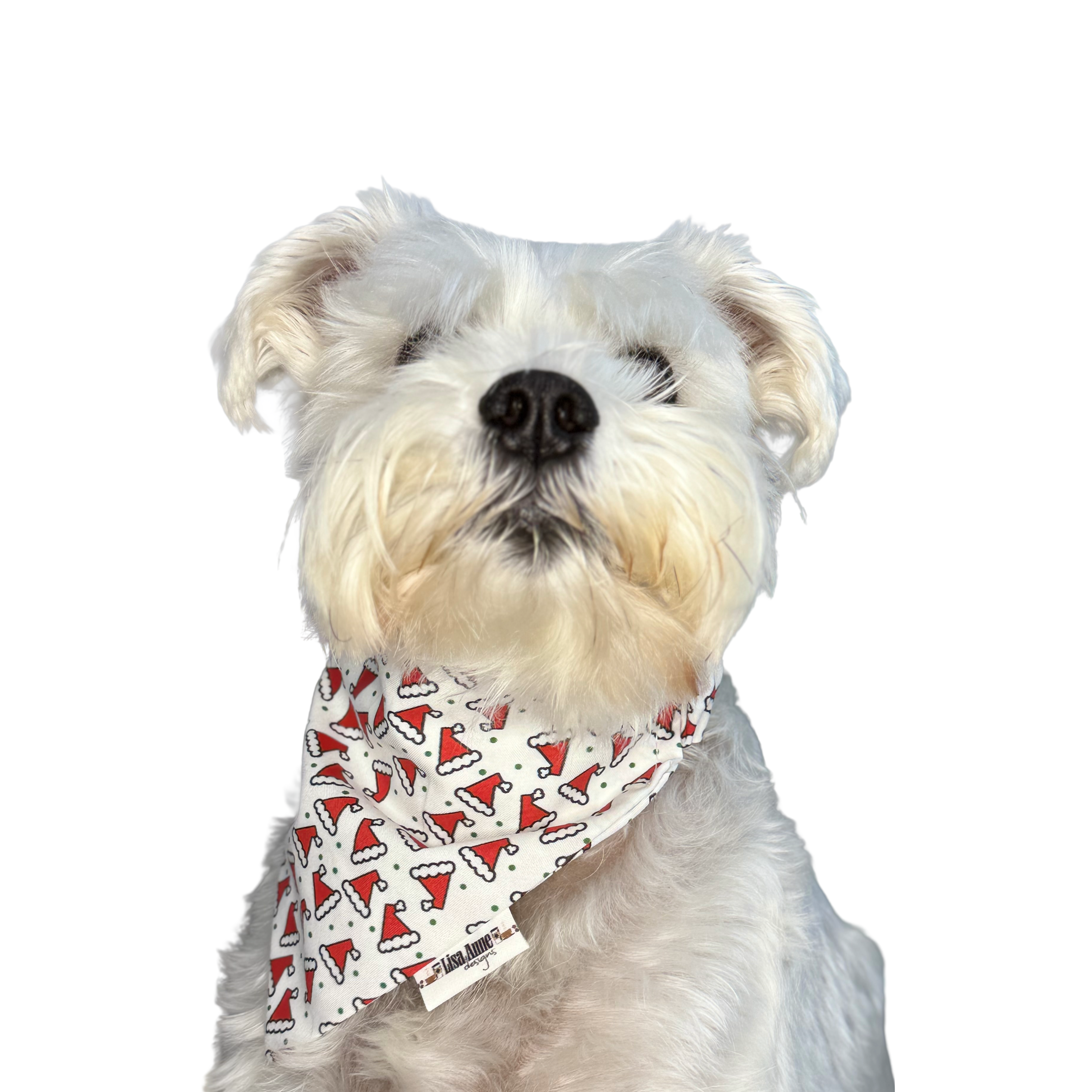 SANTA HATS LIMITED EDITION  —  Scrunchie Style Slip-On Pet Bandana