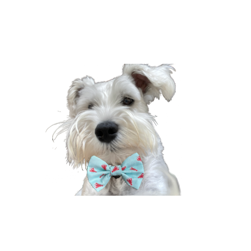 Lobster Love Dog Bandana | Reversible Coastal Pet Bandana